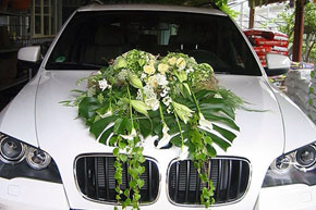 BMW X6 �� �������